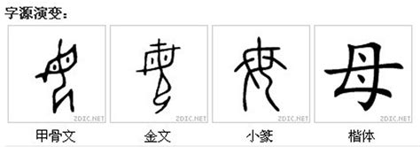 母 古字|漢字「母」：字形演變